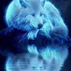 Meet your Posher, Krystal